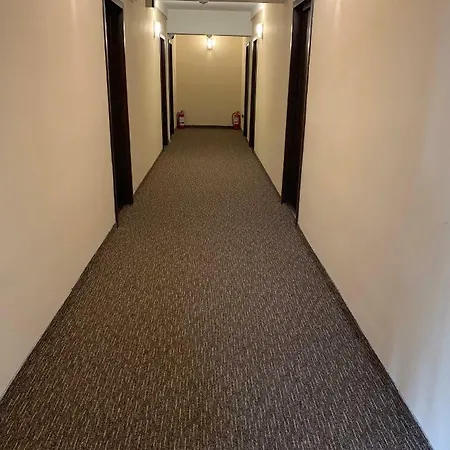 Casa Mario 招待所 3*